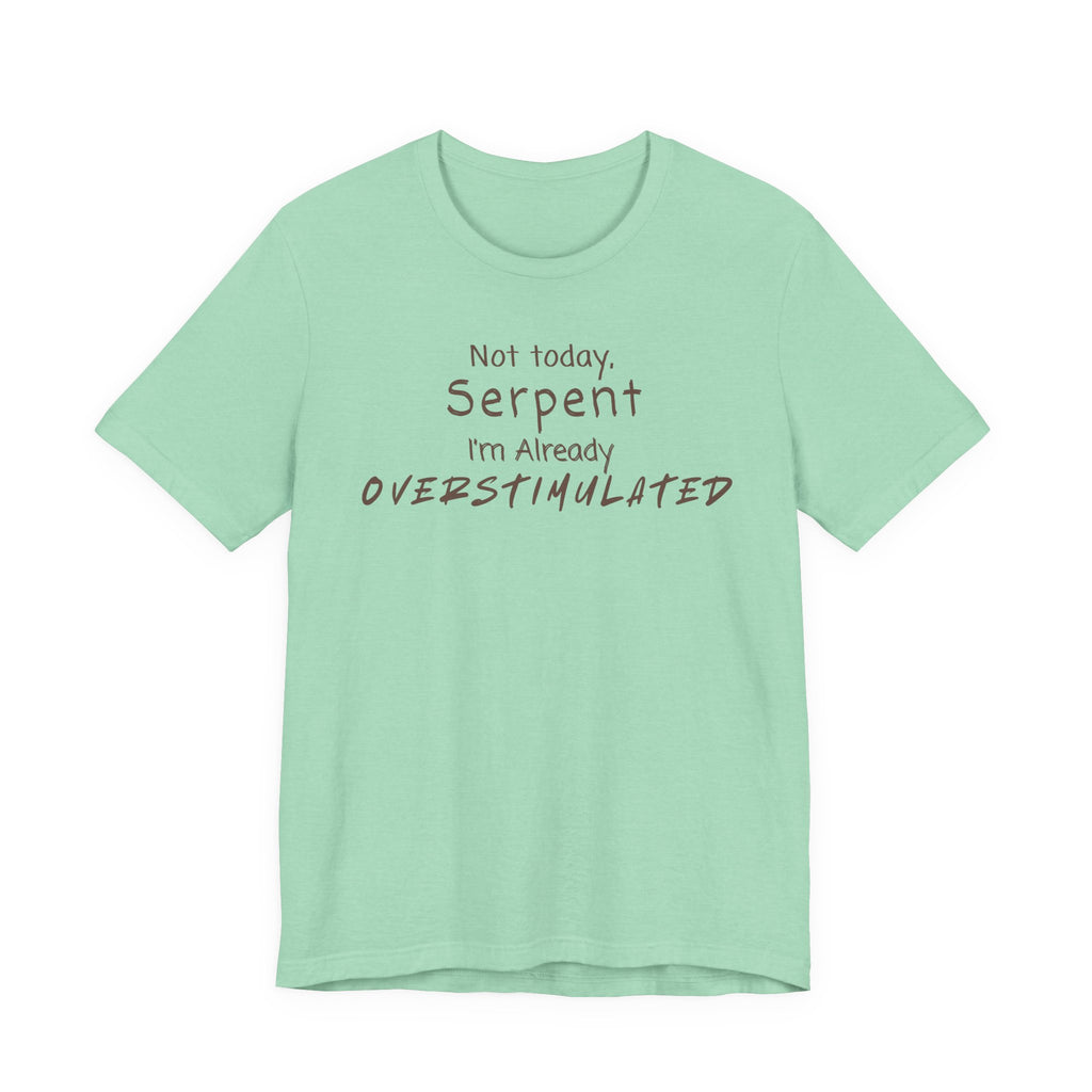 Not Today Serpent I’m Already Overstimulated Shirt